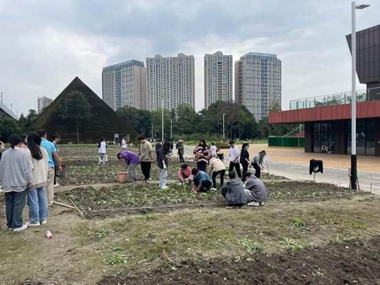 CE84A9DD5C3CAA3473E7DA477B9F35AF