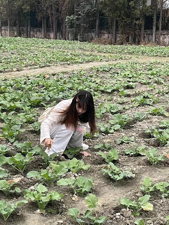 7FBDD7D7E9A8E8F47C0381D3189D6E1B